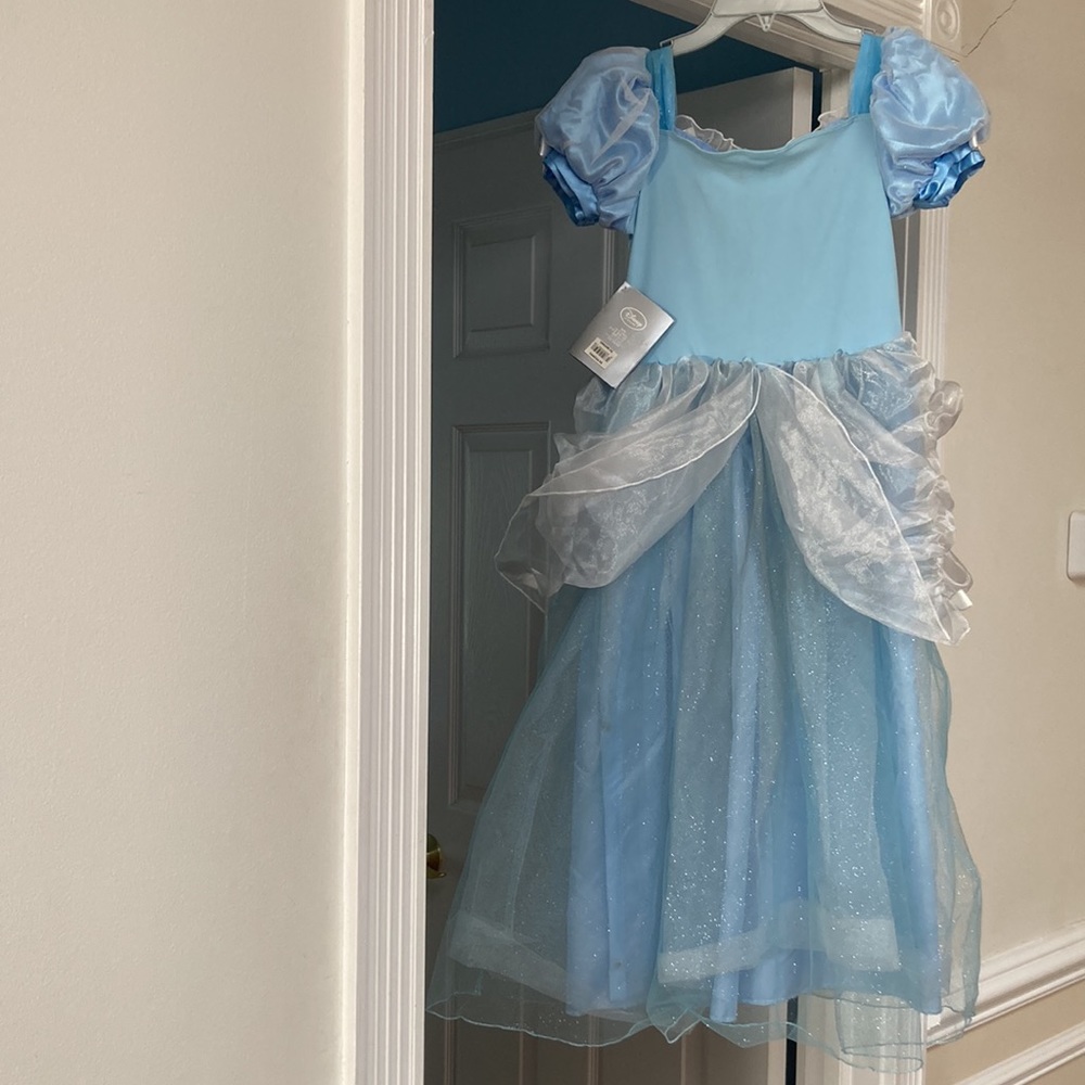 Cinderella Costume Dress - Picture 6 of 6